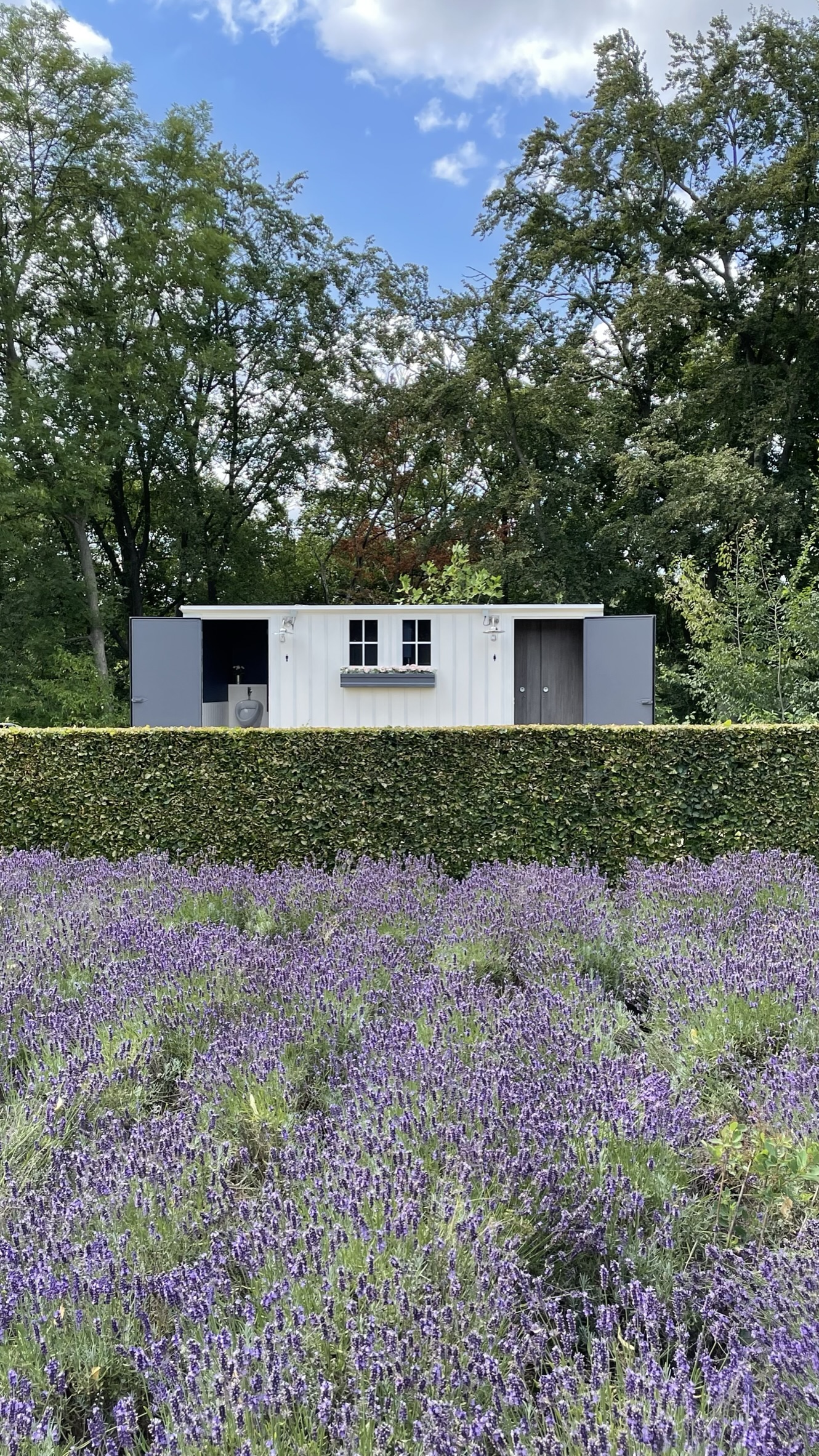 The Water Loo